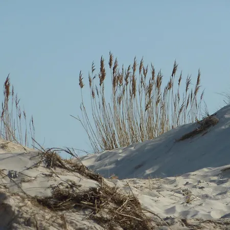 Eibe - Ulenhoef Apartamento Prerow