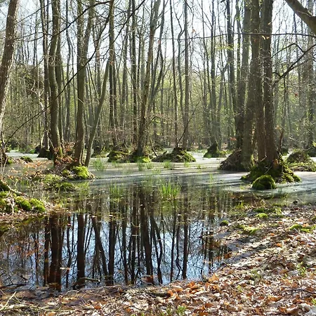 Apartamento Eibe - Ulenhoef Prerow