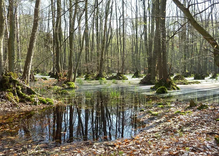 شقة Eibe - Ulenhoef بريرو